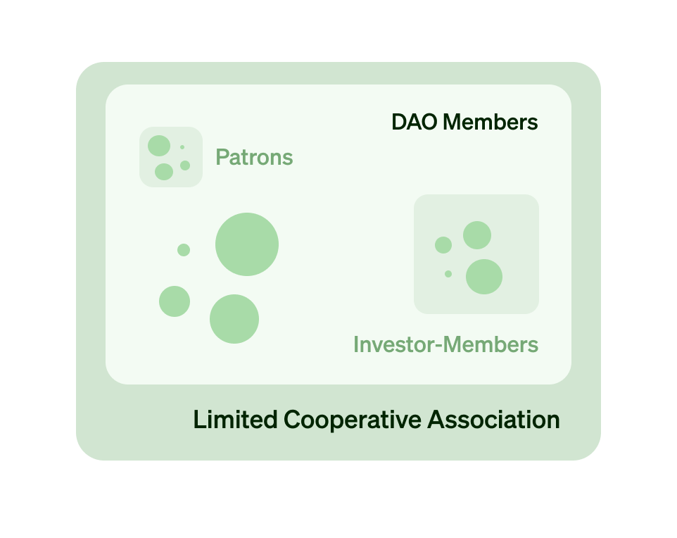 Limited Cooperative Association Org Chart